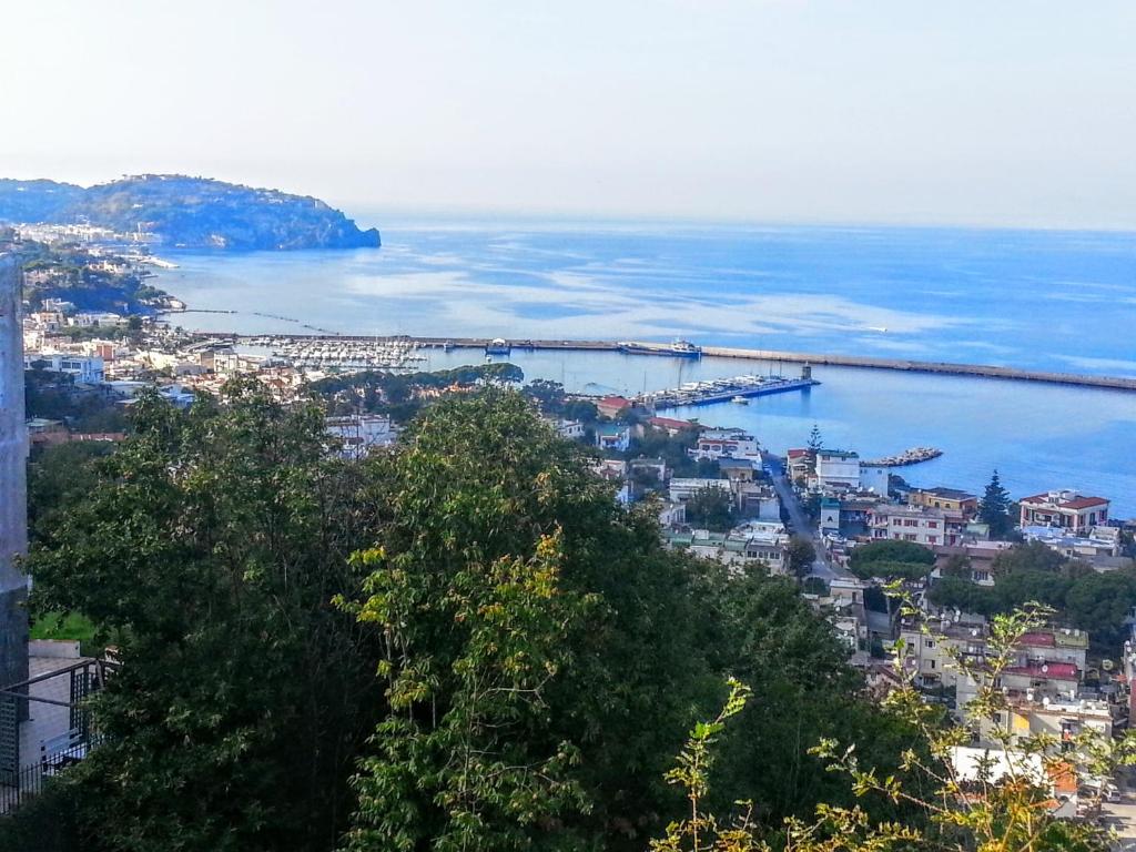 uma vista para uma cidade com um porto e o oceano em Casa Filomena em Ischia