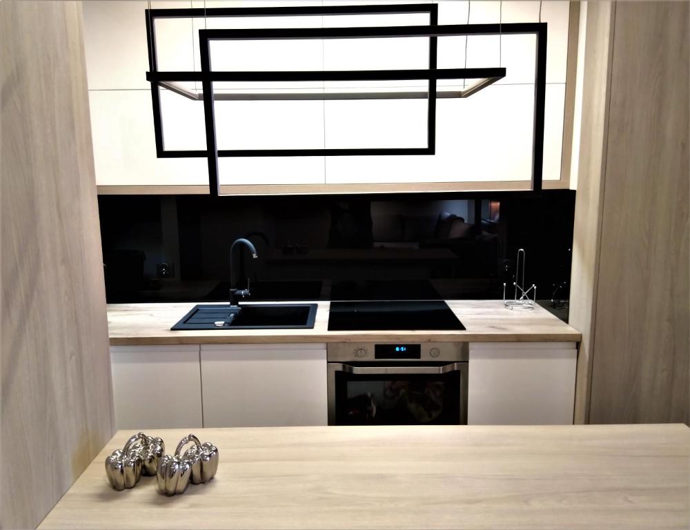 Kuchyňa alebo kuchynka v ubytovaní Vistula Terraces Apartment