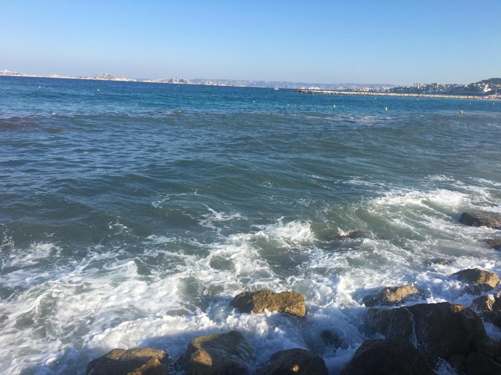 une masse d'eau avec des rochers et des vagues dans l'établissement Appartement la pointe rouge bord de mer, à Marseille