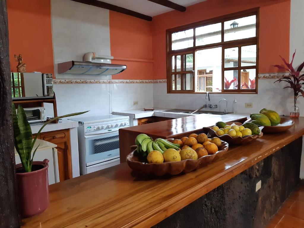 Kuchyň nebo kuchyňský kout v ubytování Suymar Ecolodge Galapagos