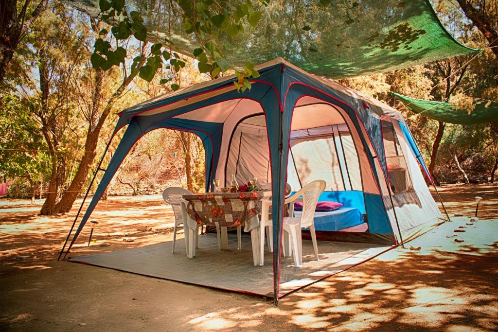 Zahrada ubytování Camping Nopigia