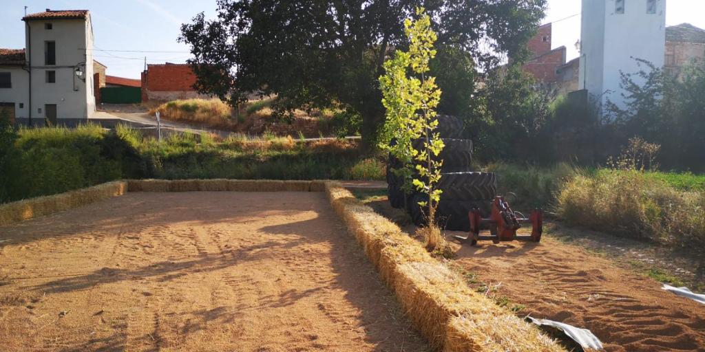 Zahrada ubytování Casa rural L´Amparo -3 espigas- Categoría superior-15 personas