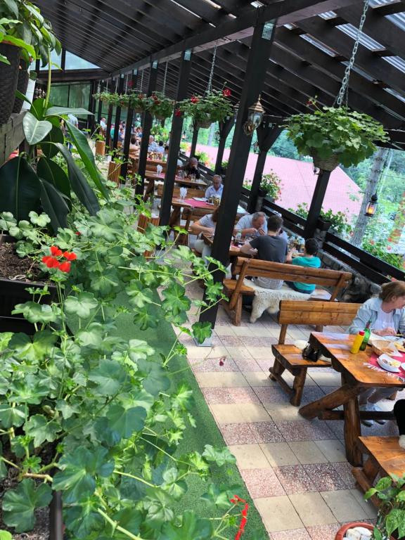 Hanul Izvorul Rece Sinaia