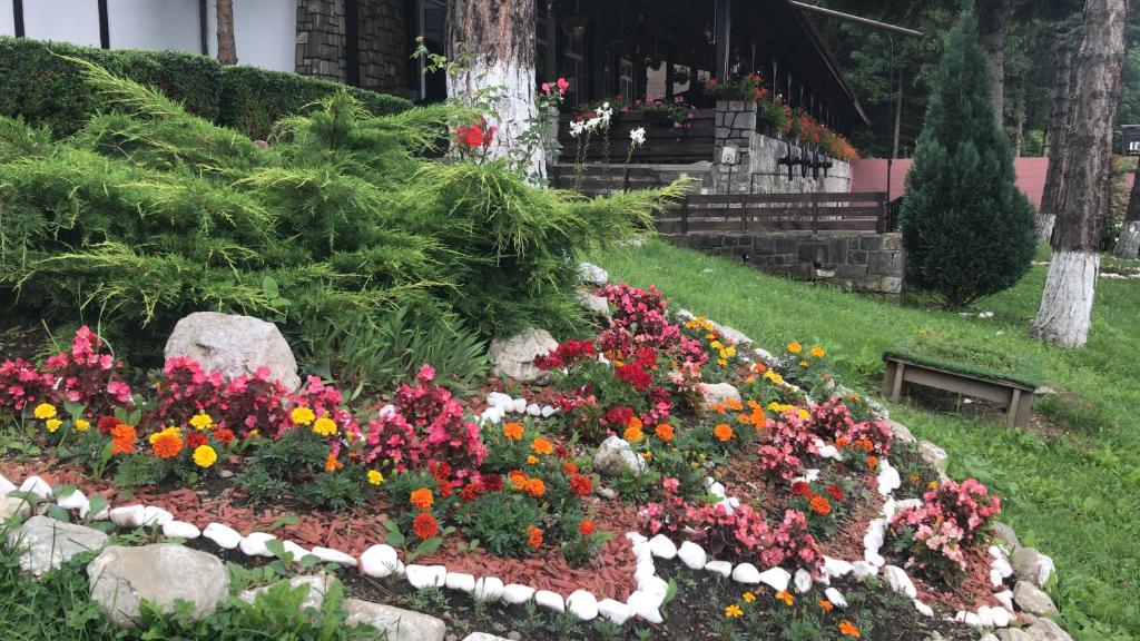 Hanul Izvorul Rece Sinaia - Resim 44