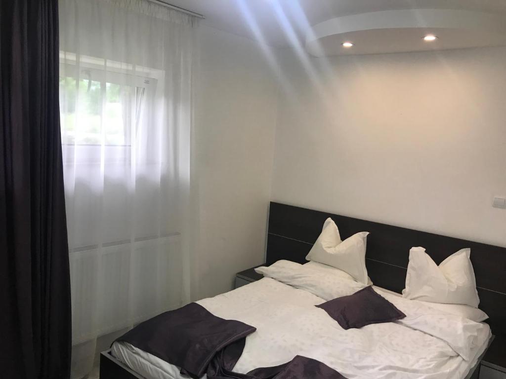 Hanul Izvorul Rece Sinaia - Resim 34