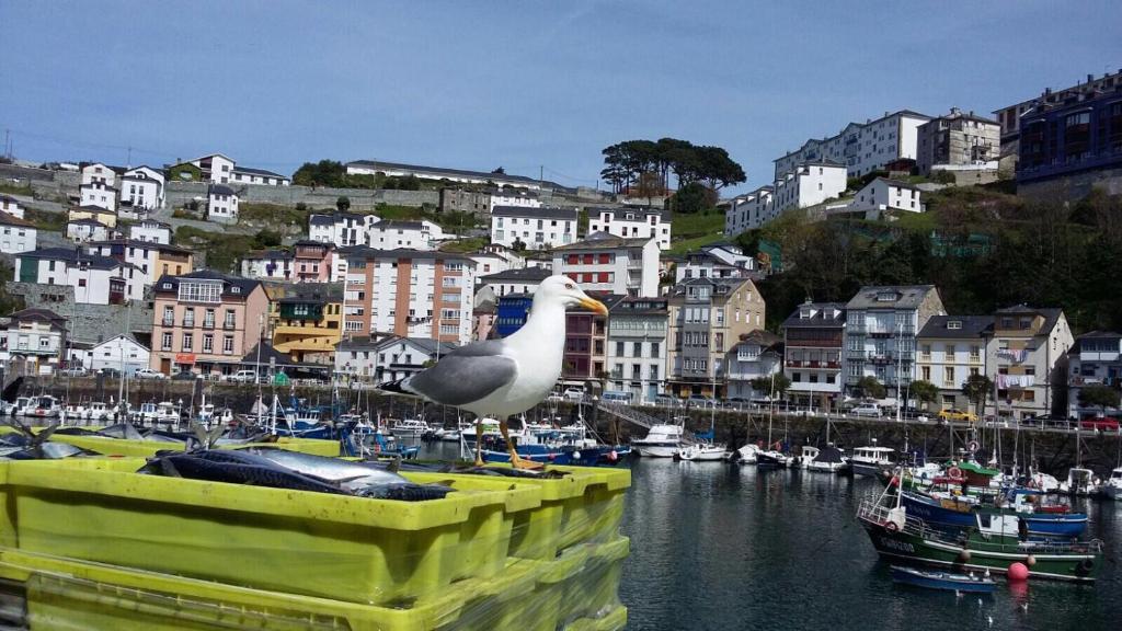 Puerto de Luarca, Luarca – Updated 2022 Prices