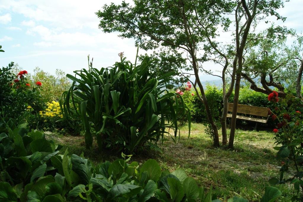 Zahrada ubytování B&B IL QUERCETO