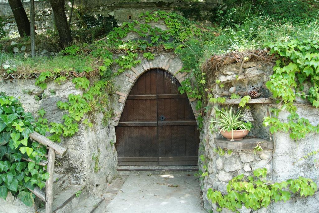 Zahrada ubytování B&B IL QUERCETO