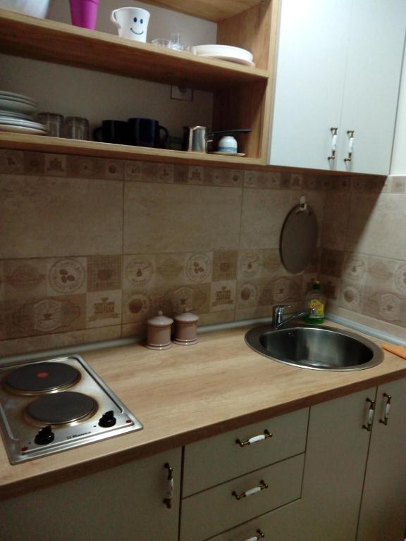 Kuchyňa alebo kuchynka v ubytovaní Divcibare apartmani Gavrić