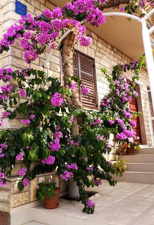 Zahrada ubytování Sweet triple room in Makarska