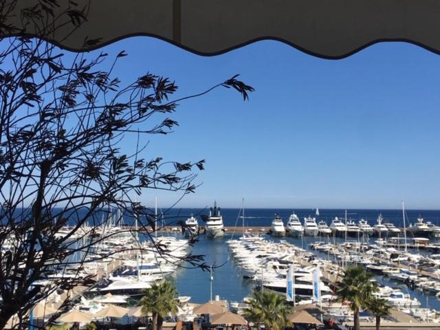 マンドリュー・ラ・ナプールにあるAppartement de standing face à la mer avec vue exceptionnelle sur les îles de Lerinsの水上のボートが乗るマリーナの景色