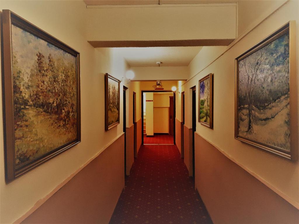Imagine din galeria proprietății Motel Perla Sigheteana în Sighetu Marmaţiei