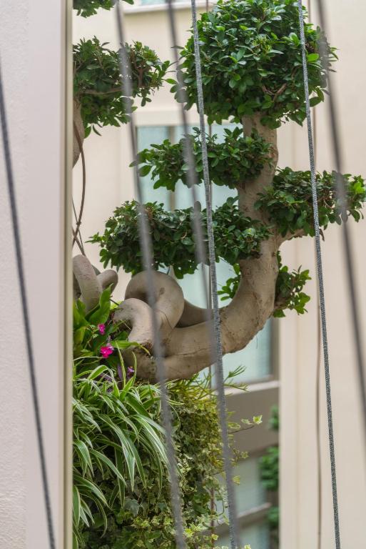 El Llorenc Parc de la Mar - Adults Only (+16) - 11