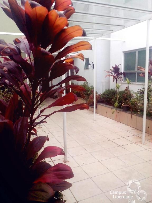 Campus Liberdade Flat - Piso Económico