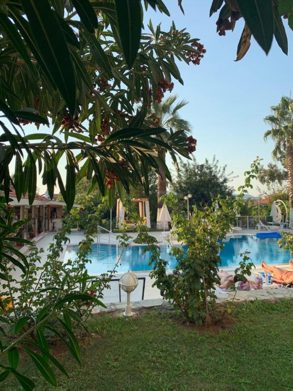 The swimming pool at or close to Olympos Hotel - Adults Only