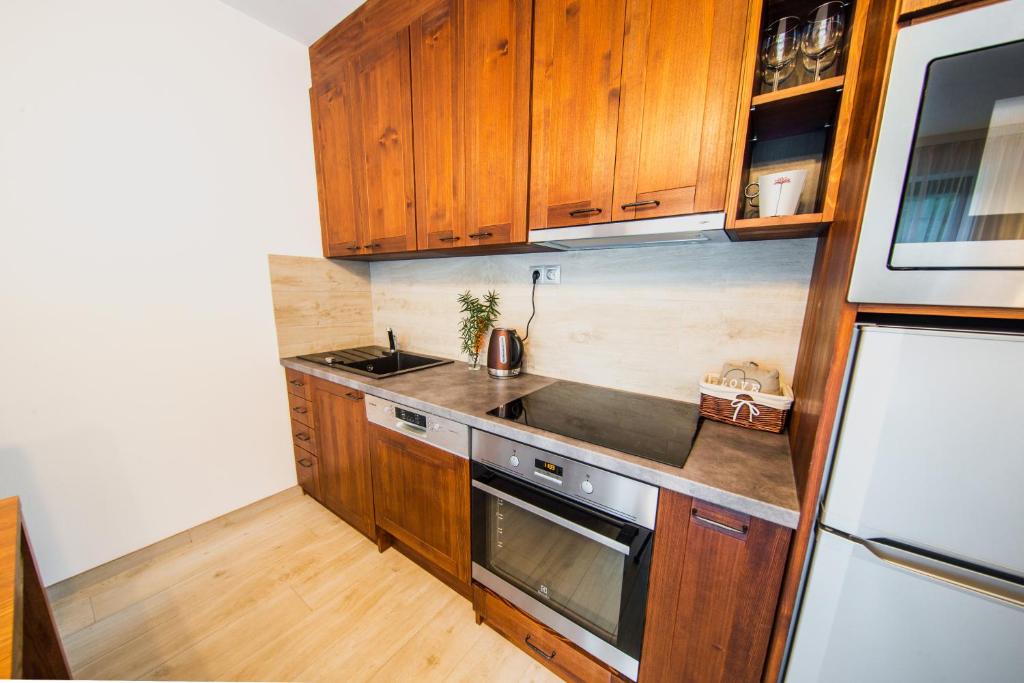 Kuchyň nebo kuchyňský kout v ubytování Apartmány Bílá 188