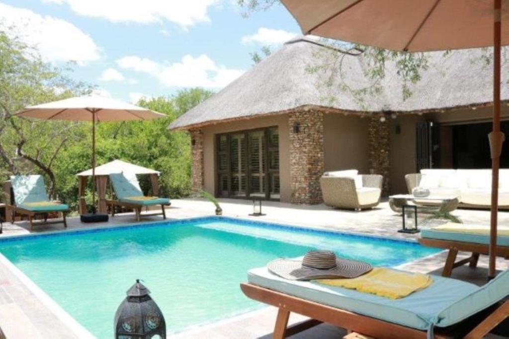 a swimming pool with chairs and umbrellas next to a house at Luvivane Luxury Villa & Cottage in Marloth Park