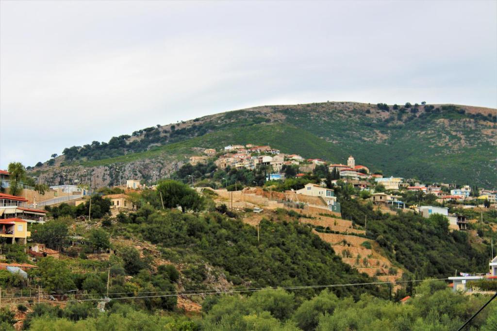 Hotel Frida - Image 7