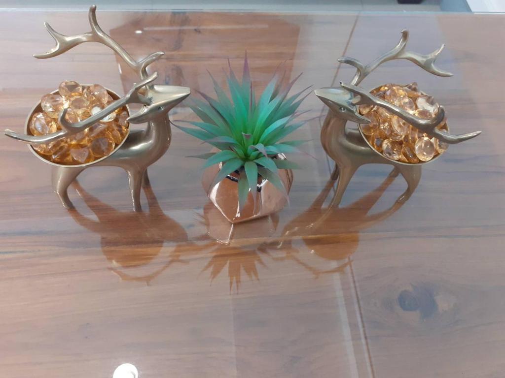 The Greenery central suite & hotel - Resim 33