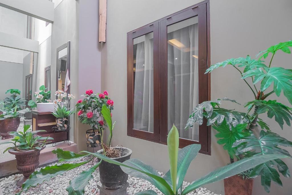 Zahrada ubytování RedDoorz Plus Syariah at Banjarbaru 2