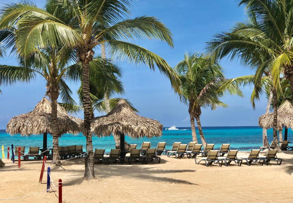 a beach with chairs and palm trees and the ocean at Beach Studio @CadaquesCaribe Bayahibe in Bayahibe