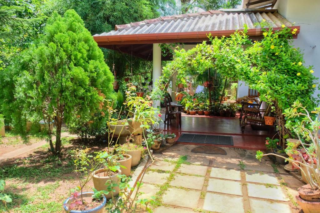 Zahrada ubytování Golden Rainbow Guest House