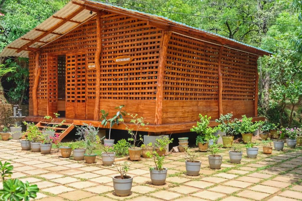 Zahrada ubytování Golden Rainbow Guest House
