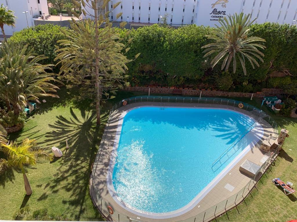 an overhead view of a swimming pool in a garden at Dunatlantico in Playa del Ingles