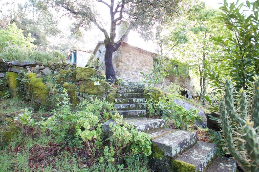 un conjunto de escaleras de piedra en un jardín con un árbol en Casa da Eira- into the Nature, en Macieira de Alcoba