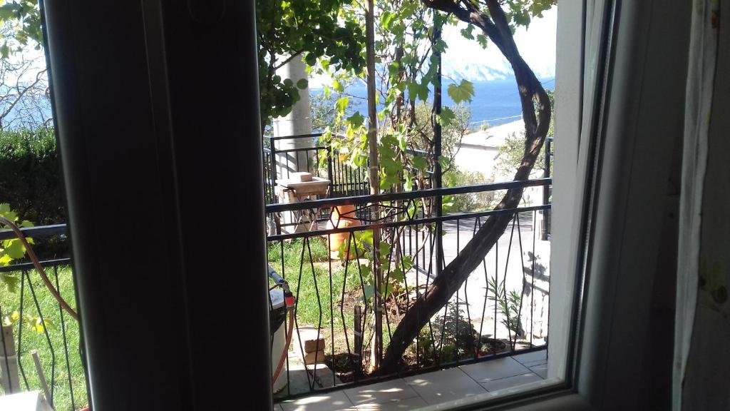 Príroda v okolí apartmánu