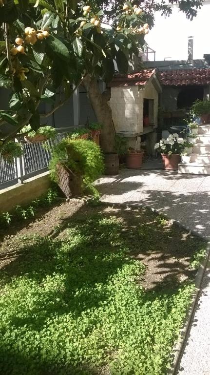 Vonkajšia záhrada v ubytovaní Apartman Renata