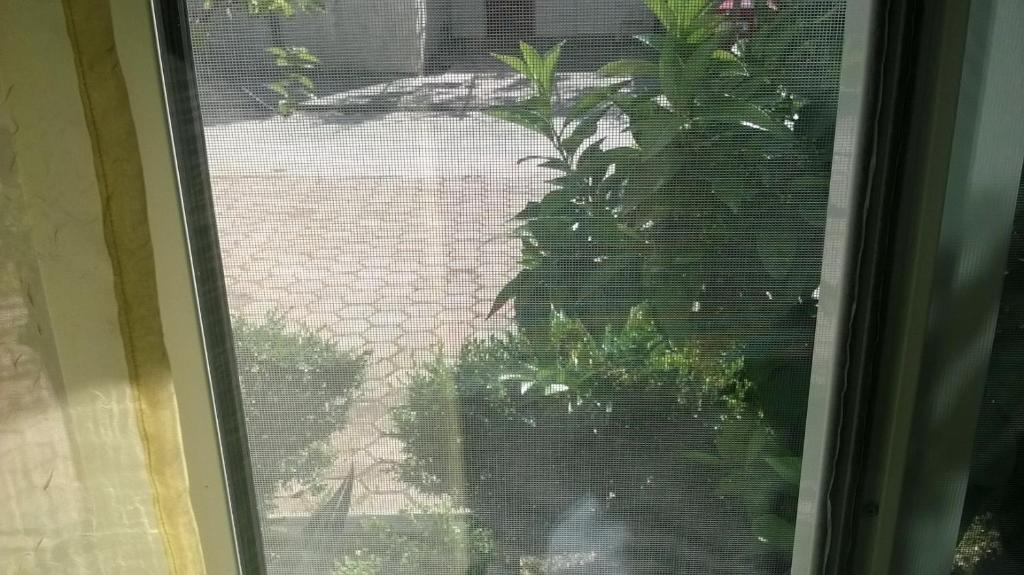 Vonkajšia záhrada v ubytovaní Apartman Renata