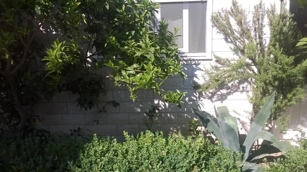 Vonkajšia záhrada v ubytovaní Apartman Renata