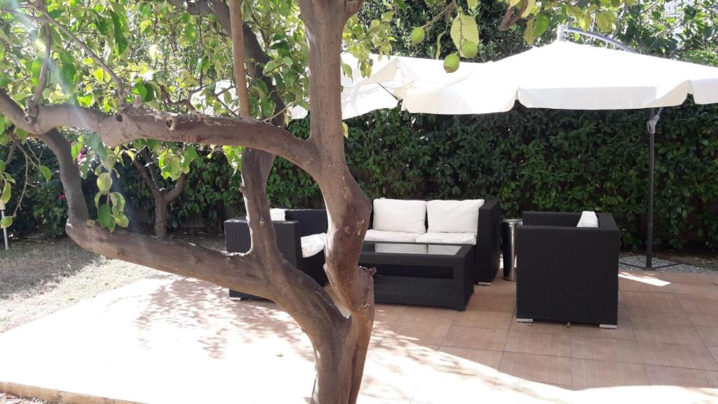 a tree with a couch and an umbrella at Villa Del Mar in Bari