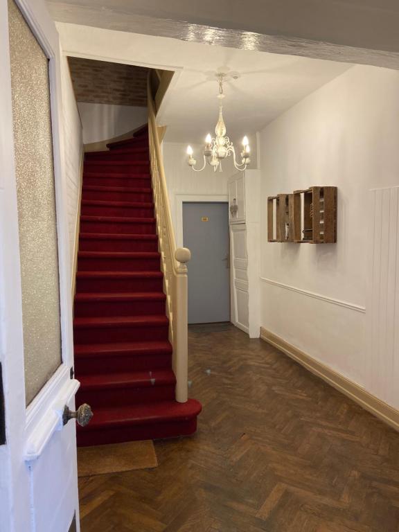 L'Ours de Colmar - Appartements en centre ville - 18