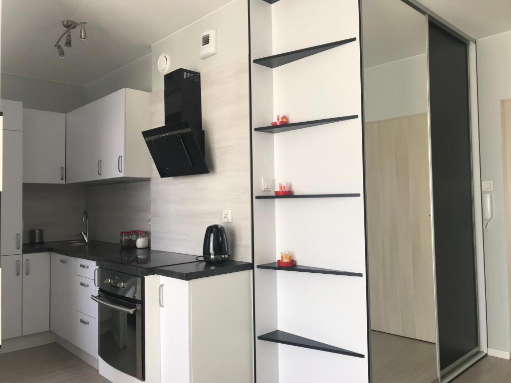 Kuchyňa alebo kuchynka v ubytovaní Apartament Lucky
