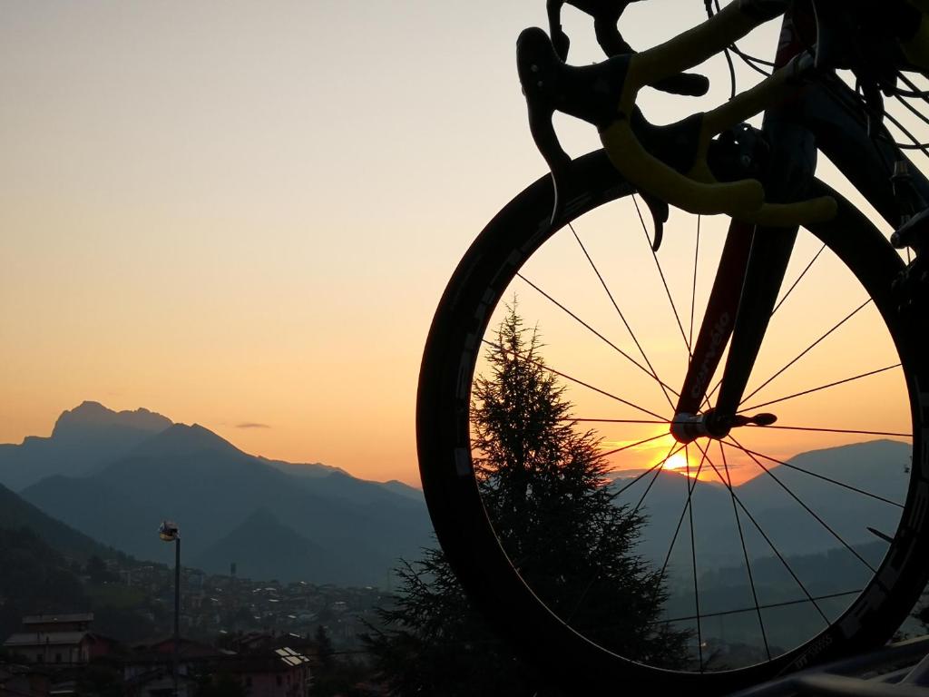 Jízda na kole v ubytování Grem Bike Hostel nebo okolí
