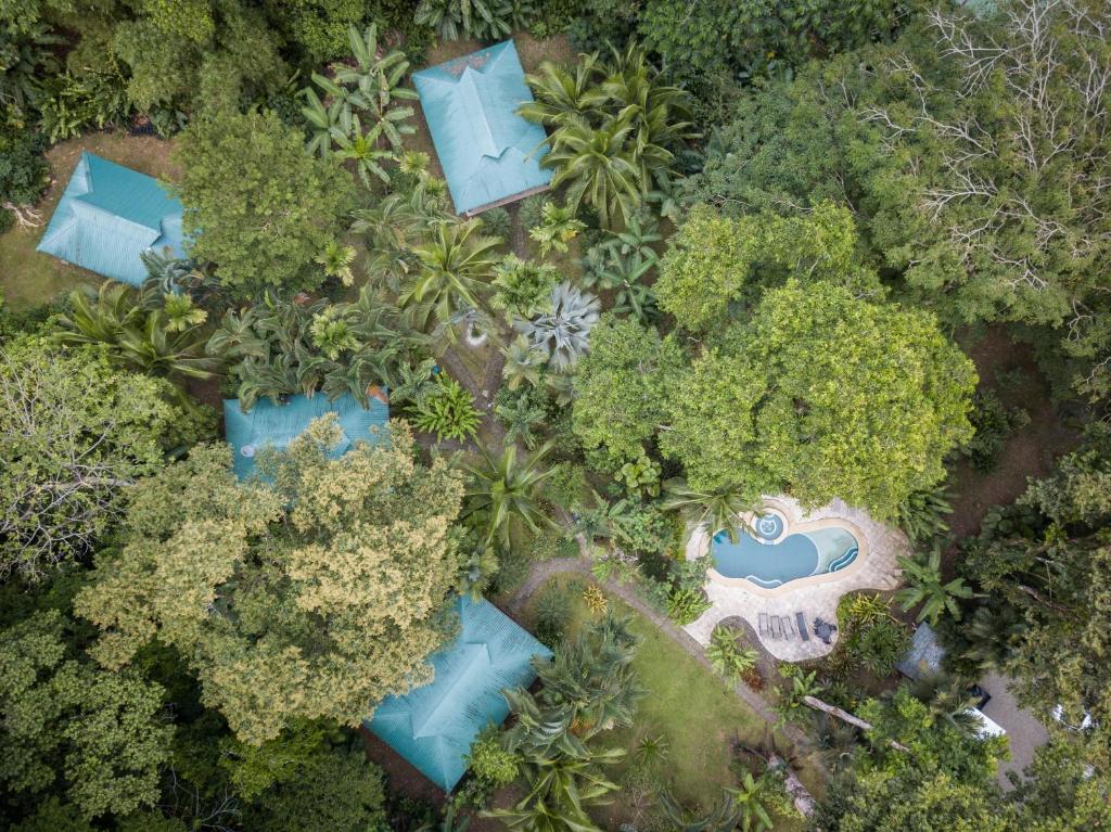 an overhead view of a resort in the forest at El Nido Jungle Lodge in Puerto Viejo