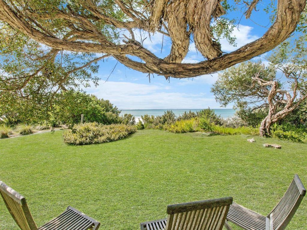deux chaises assises dans l'herbe sous un arbre dans l'établissement Waters Edge, à Port Fairy