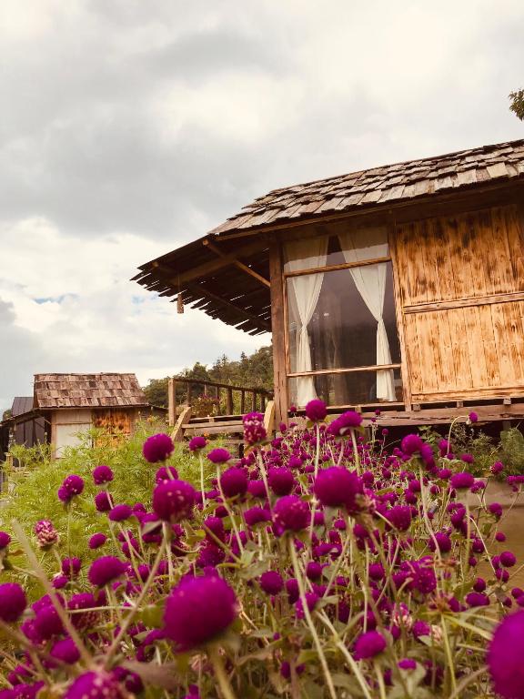 Cơmlam Eco House - 11