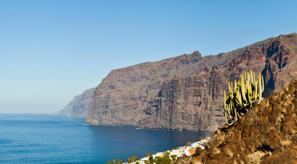 Green Cactus cosy Loft, Wifi & Gym, Santa Cruz de Tenerife (updated prices  2026)