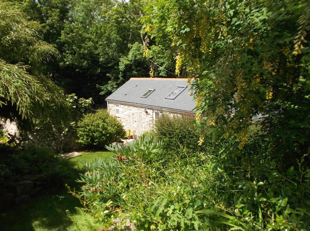 a building with a solar roof in a garden at new pottery in Penzance