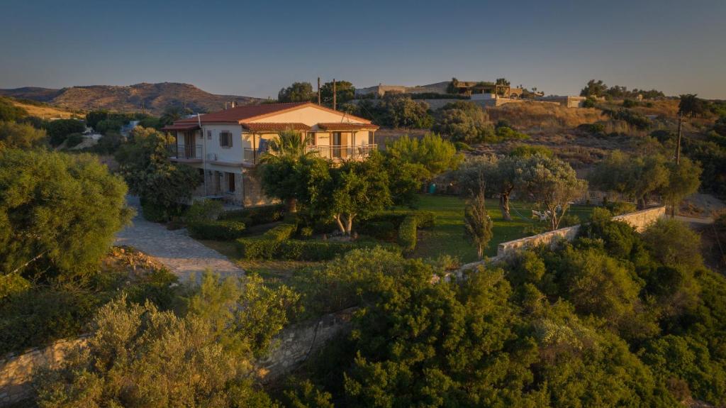a house on top of a hill with trees at Irene Komos in Pitsidia