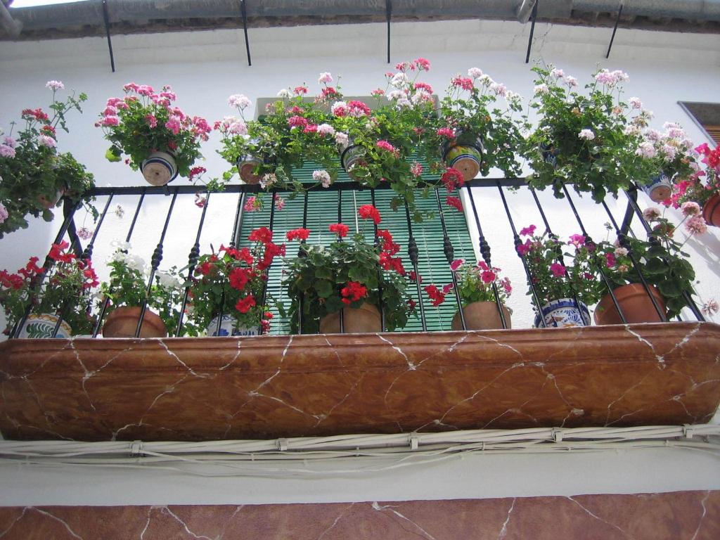Imagen de la galería de Casa Rural La Villa, en Castro del Río