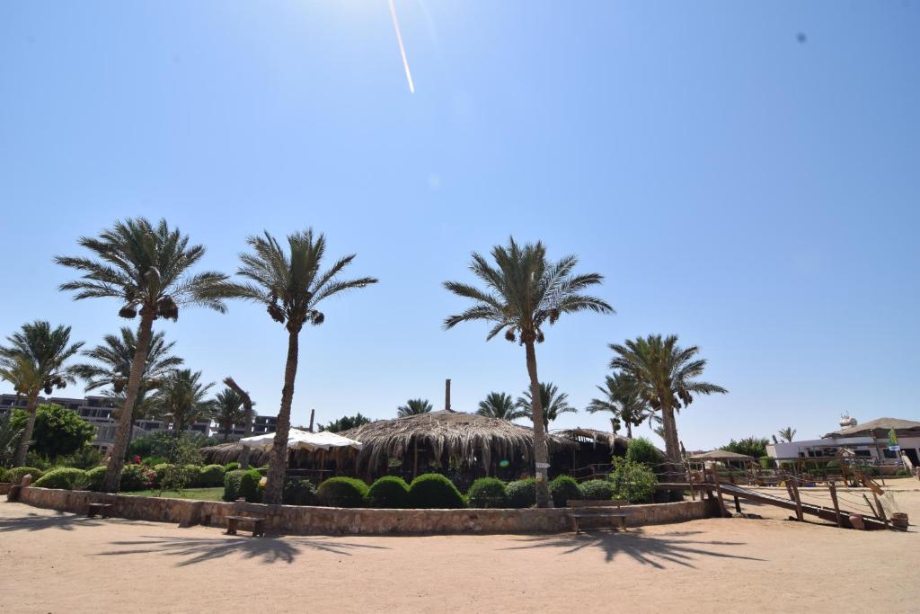 Sharm El Naga Resort and Diving Center في الغردقة: مجموعة من أشجار النخيل وشاطئ مع مبنى