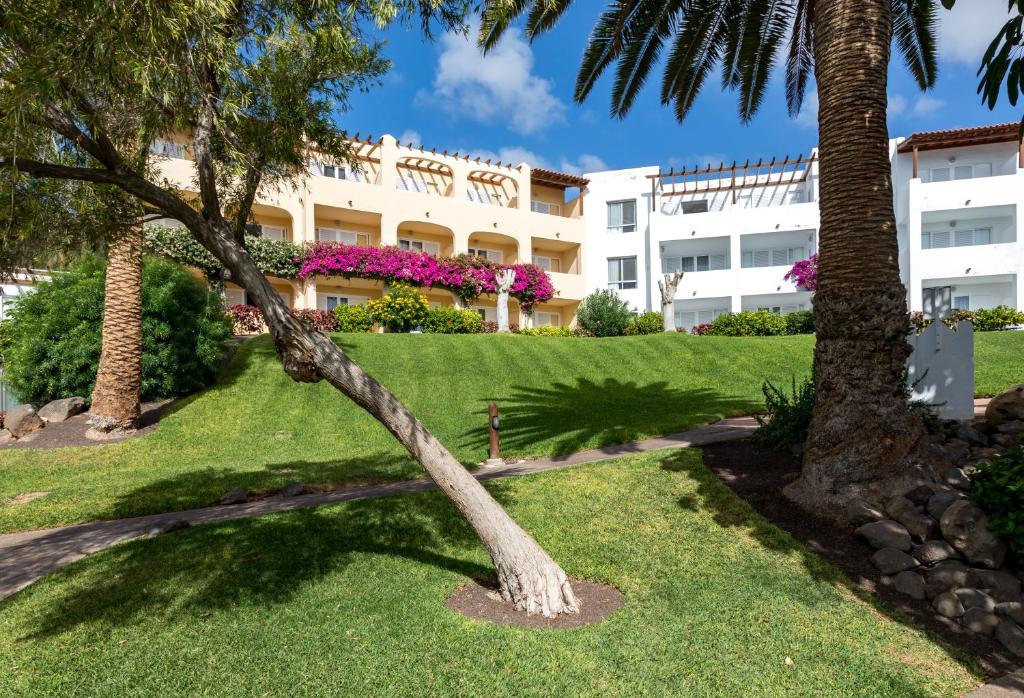 una palmera frente a un edificio en ROBINSON ESQUINZO PLAYA - All Inclusive, en Morro del Jable