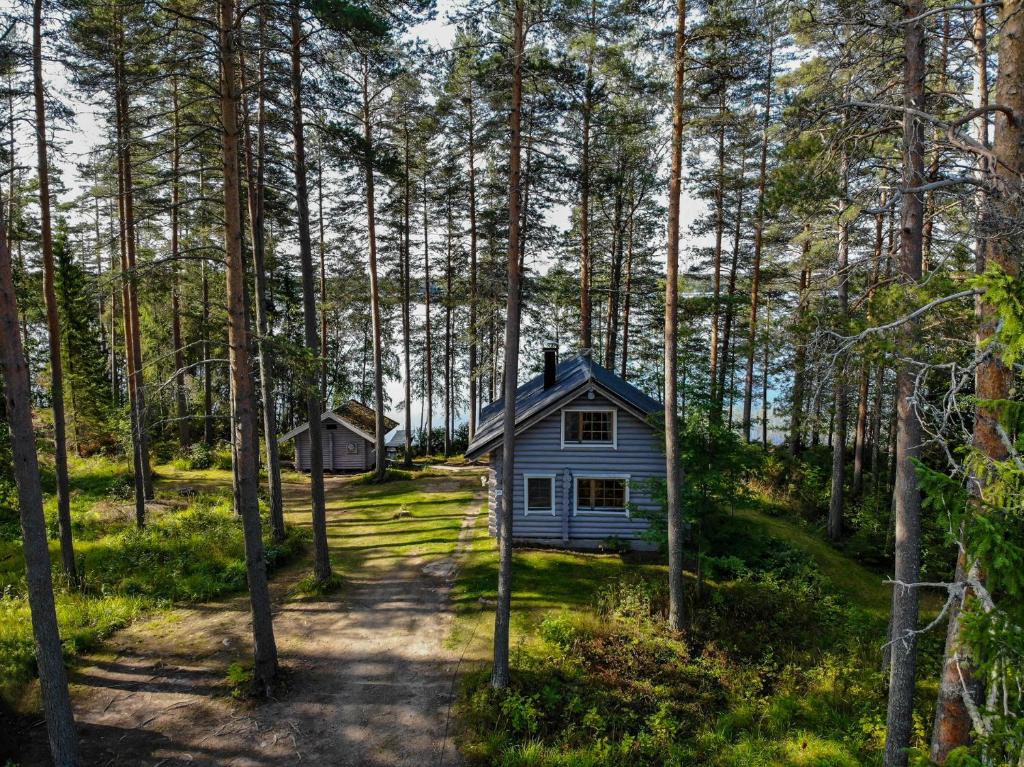 a small blue house in the middle of a forest at Vacation Home Tulikallio in Suonenjoki
