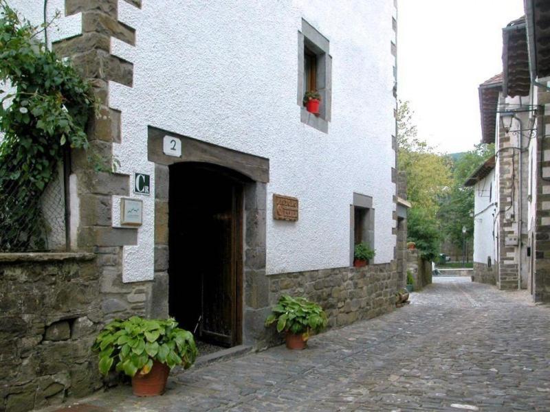 a white building with two potted plants on a street at Apartamentos Pistolo in Ochagavía