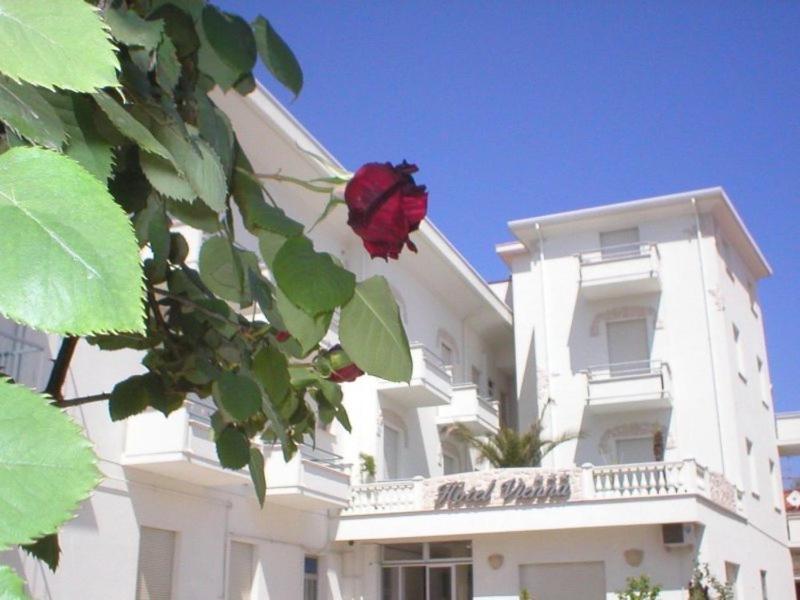 una rosa roja en una rama frente a un edificio en Hotel Vienna, en Bellaria-Igea Marina