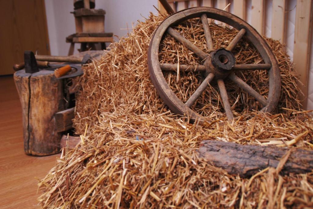 Fotografie z fotogalerie ubytování Traditions-Gasthaus Bayrischer Hof v destinaci Leutkirch im Allgäu